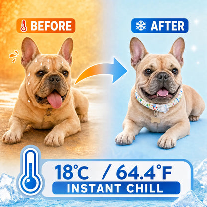 Reusable Pet Cooling Collar - TPU Eco-Friendly Customized Collar with Advanced Phase Change Material 64°F Ice Ring, No Condensation Sweat-Free Neck Wrap, Fast Freeze Instant Chill Panting Reduction for Small/Large Dogs, Summer Beach Trips