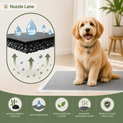 Disposable Puppy Pee Pads with Carbon Layer - Quick-Dry, Leakproof Dog Potty Pads for Puppy Potty Training and Housebreaking