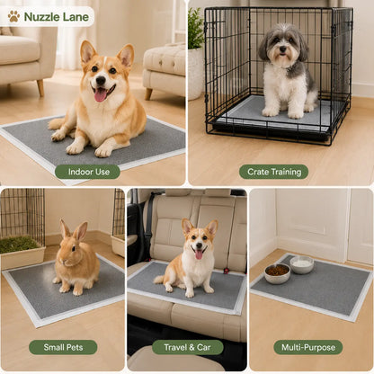 Disposable Puppy Pee Pads with Carbon Layer - Quick-Dry, Leakproof Dog Potty Pads for Puppy Potty Training and Housebreaking