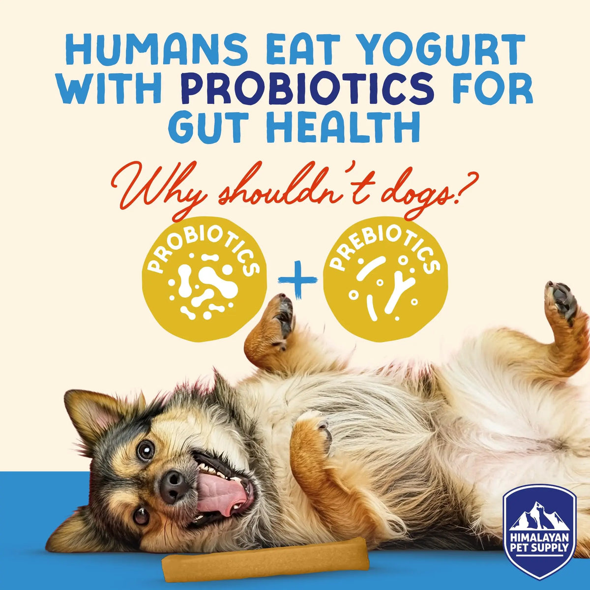 Himalayan Dog Chew Flavored Yogurt Sticks for Dogs | Protein-Rich Treats with Prebiotics & Probiotics | Lactose-Free, Grain-Free, Gluten-Free | Healthy Yogurt Chews for All Breeds