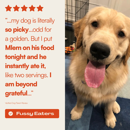 Mlem Beef Topper Spray for Dogs - Nutritional Enhancement for Canine Diets