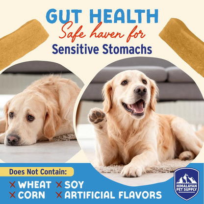Himalayan Dog Chew Flavored Yogurt Sticks for Dogs | Protein-Rich Treats with Prebiotics & Probiotics | Lactose-Free, Grain-Free, Gluten-Free | Healthy Yogurt Chews for All Breeds