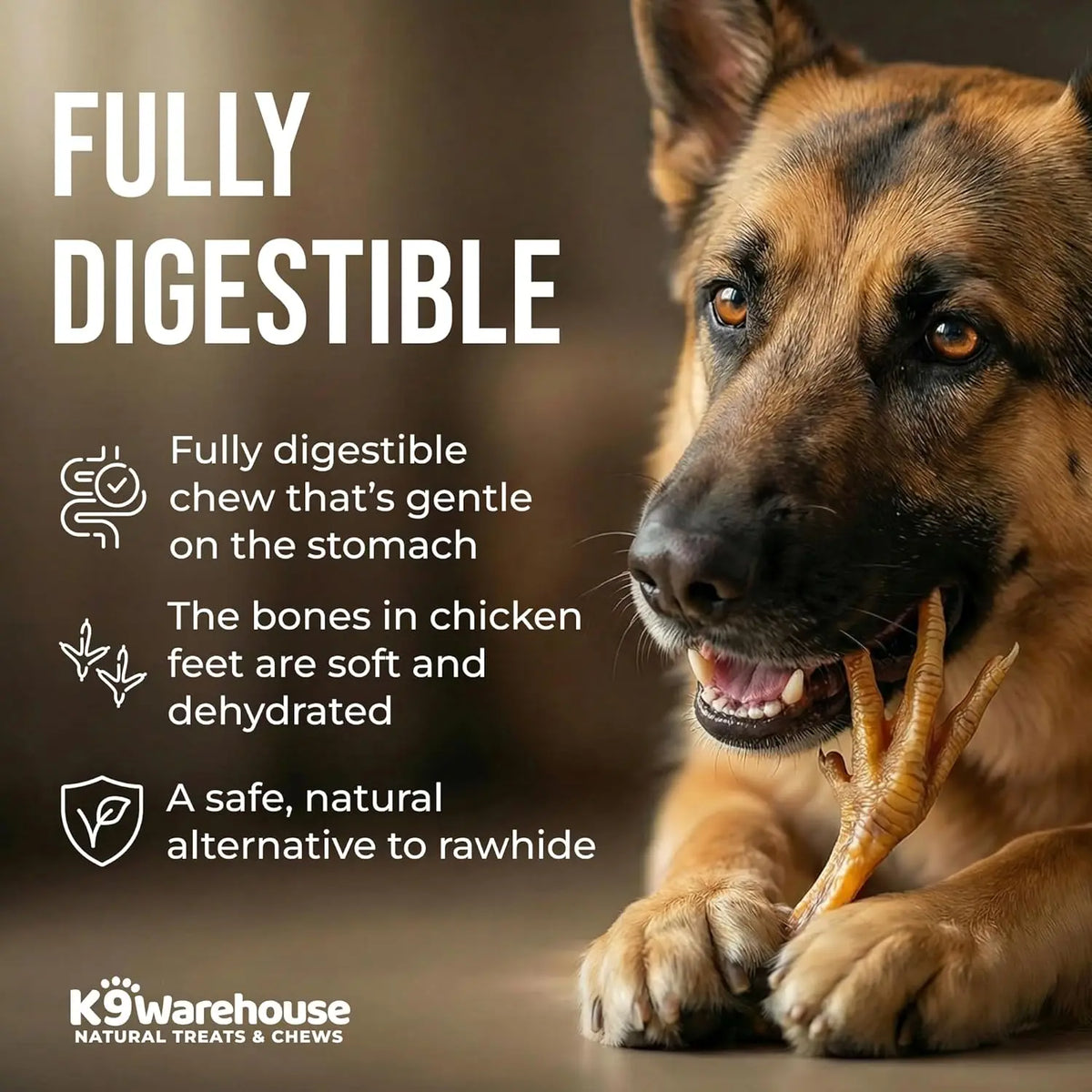 K9Warehouse Chicken Feet for Dogs - 30 Count Package