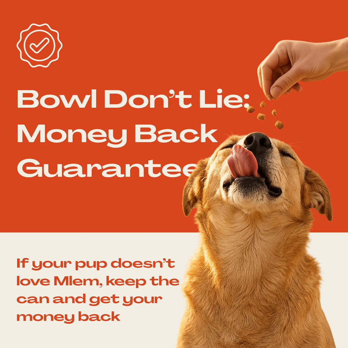 Mlem Beef Topper Spray for Dogs - Nutritional Enhancement for Canine Diets