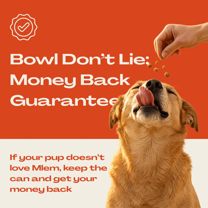 Mlem Beef Topper Spray for Dogs - Nutritional Enhancement for Canine Diets