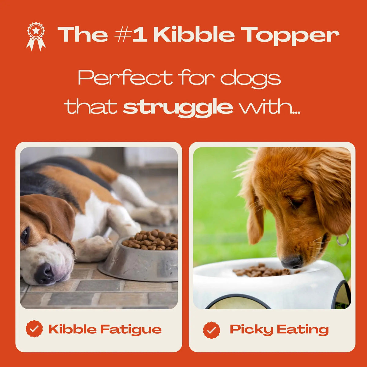 Mlem Beef Topper Spray for Dogs - Nutritional Enhancement for Canine Diets
